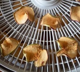 air fryer apple chip recipe, Photo Credit The Sifted Field