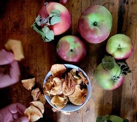 air fryer apple chip recipe, Photo Credit The Sifted Field