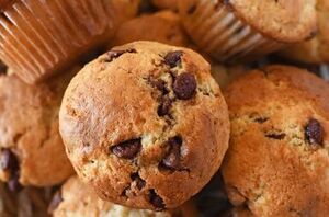 Transform your sourdough starter into moist, bakery-style chocolate chip muffins!