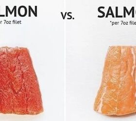 10 easy salmon recipes that are nutritious and delicious