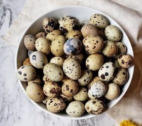 Take these quail eggs, place them in a jar with some interesting ingredients, and see what happens