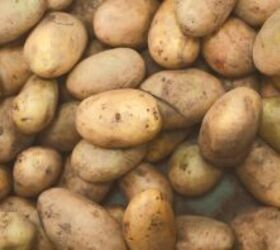 Instead of peeling potatoes—do THIS (easy & delicious!)