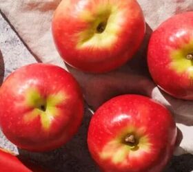 <u>Mix apples with these easy ingredients for a delicious dish that is pure genius</u>