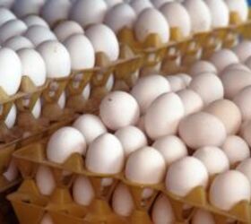 <u>Instead of scrambling eggs—do THIS for a different and delicious breakfast (quick & easy!)</u>