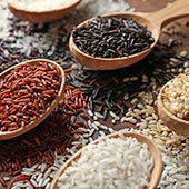 Rice
